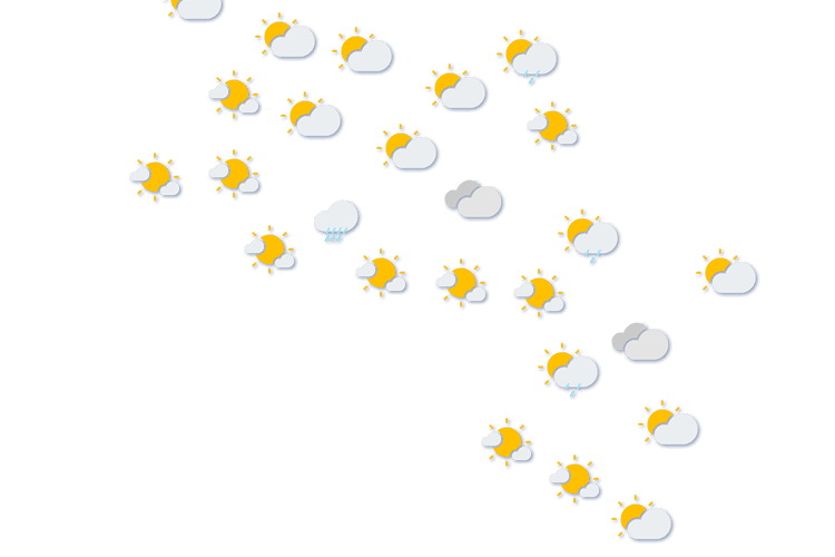 Forecast