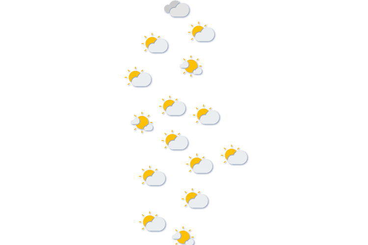 Forecast