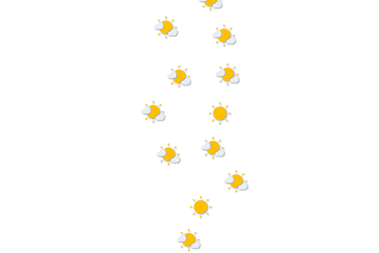 Forecast