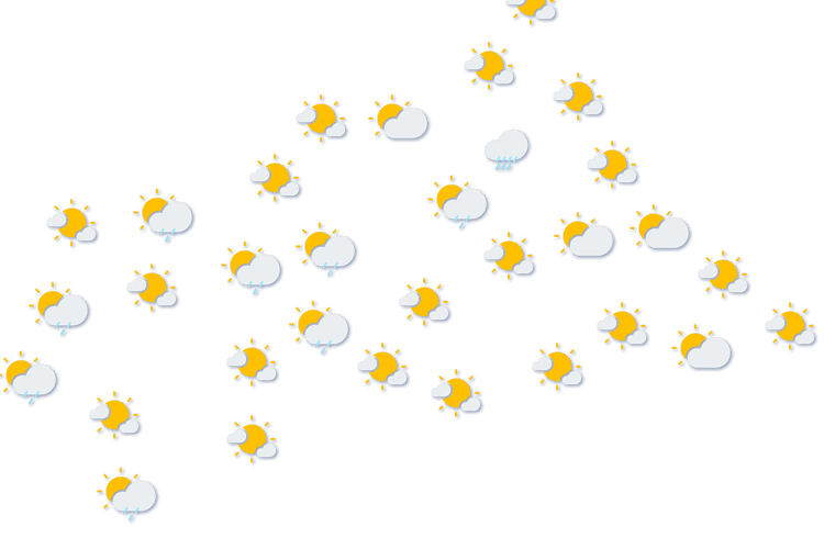 Forecast