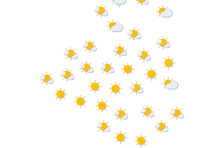 Forecast