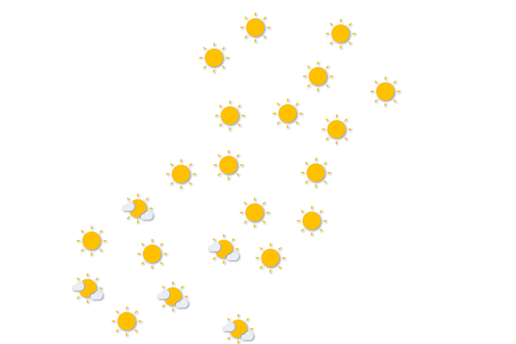 Forecast