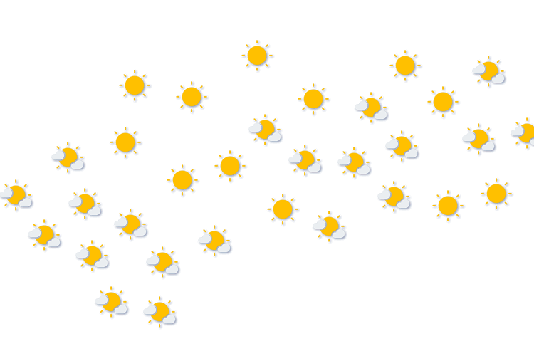 Forecast