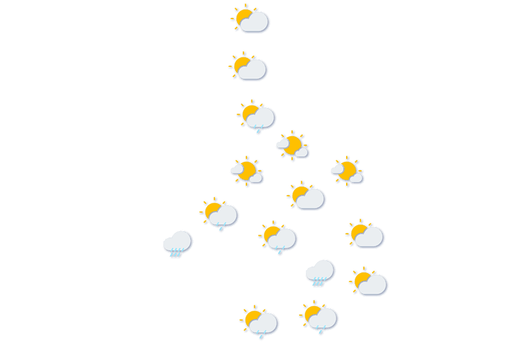 Forecast