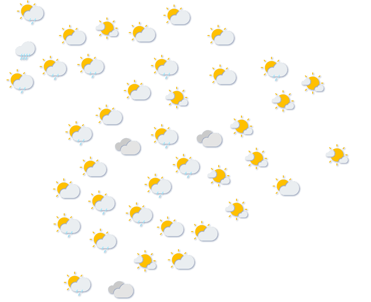 Forecast