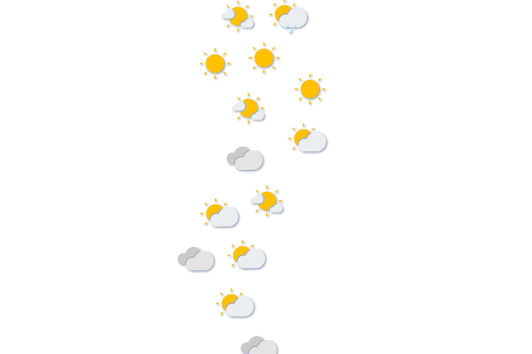 Forecast