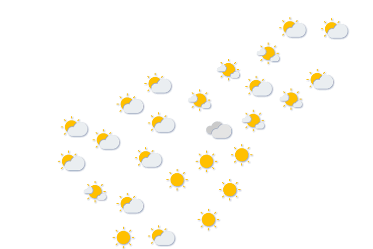 Forecast