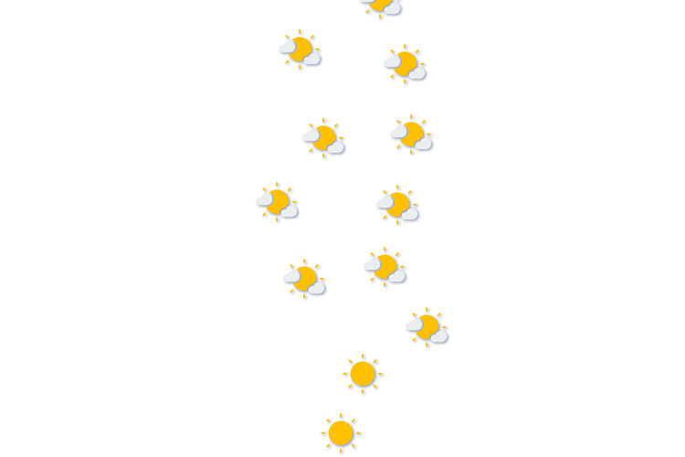Forecast