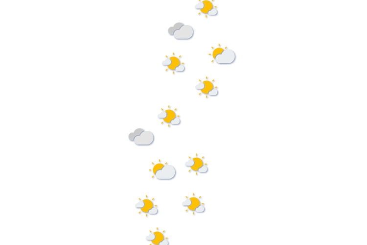 Forecast