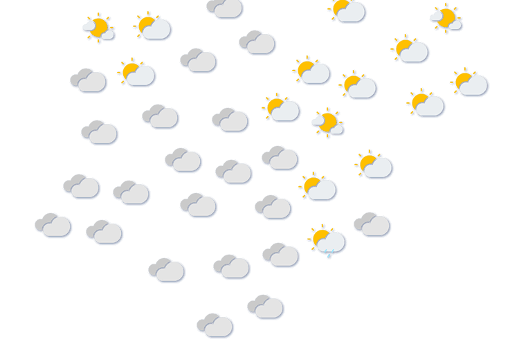 Forecast