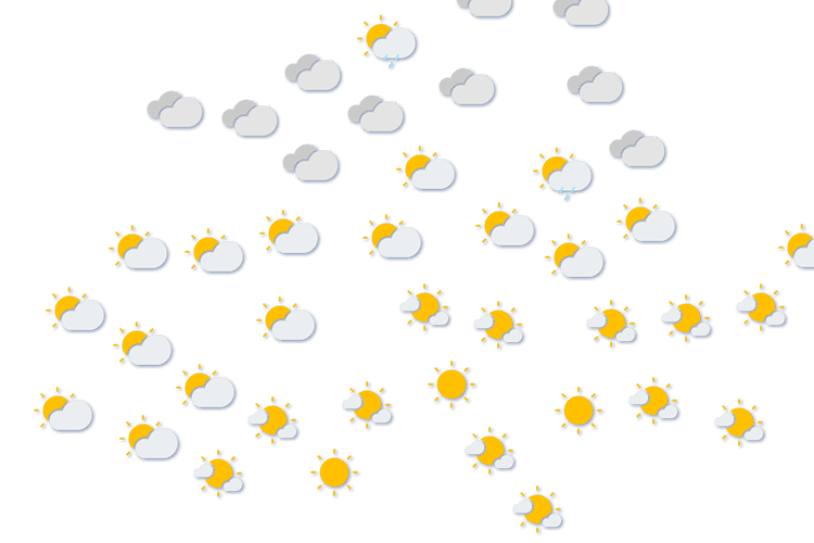 Forecast