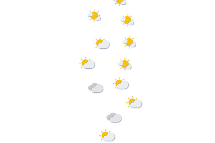 Forecast