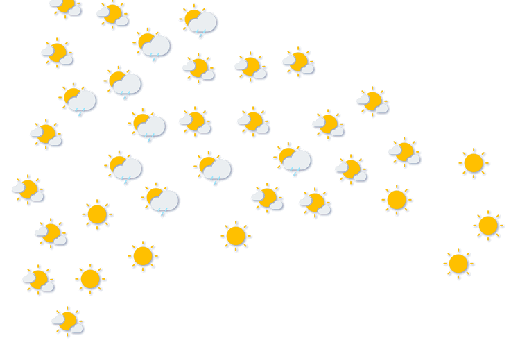 Forecast