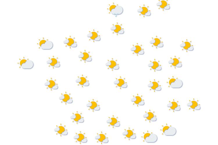 Forecast