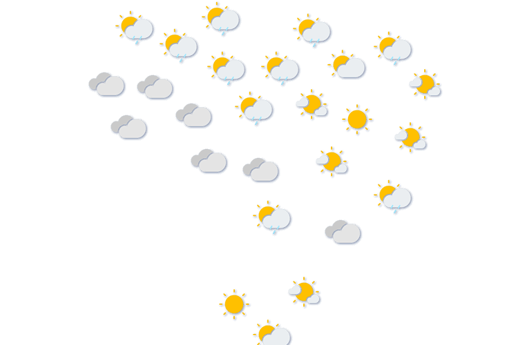 Forecast