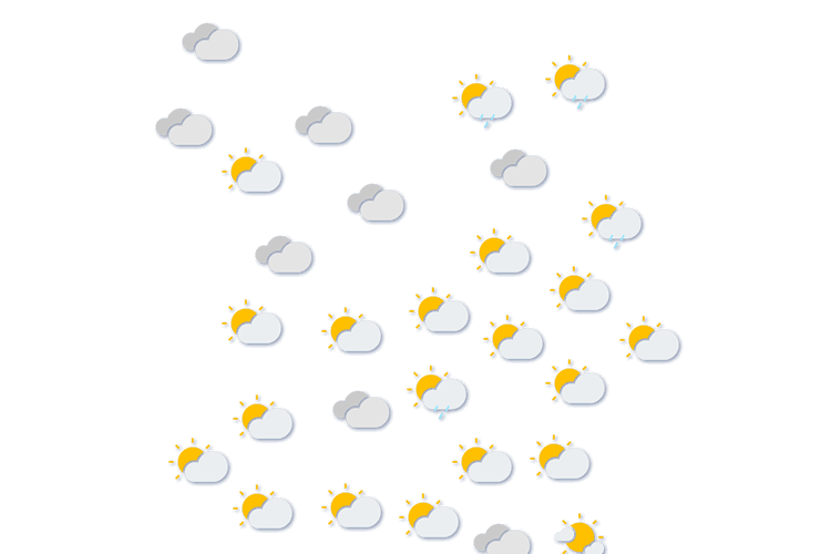 Forecast