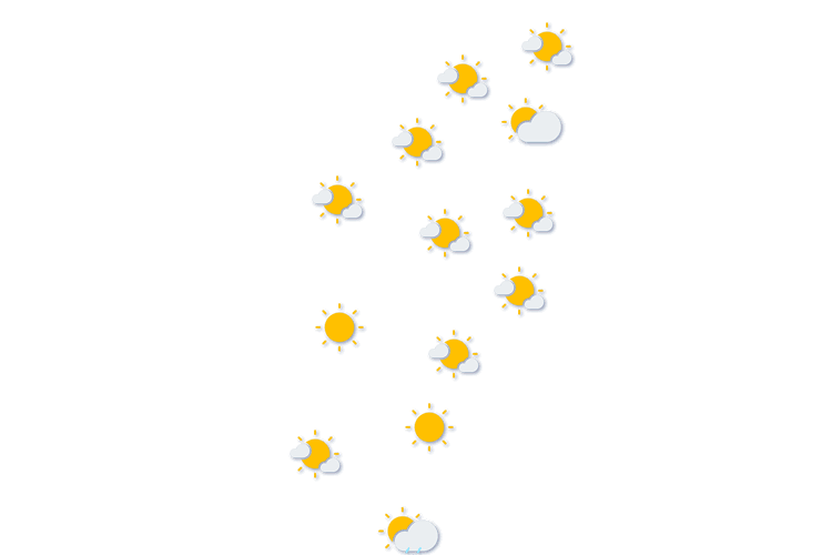 Forecast