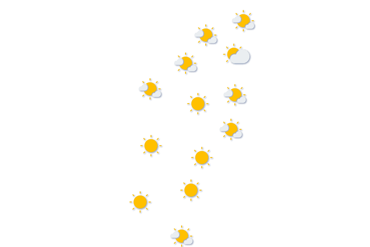 Forecast