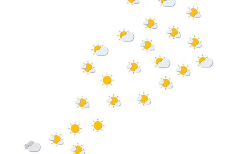 Forecast