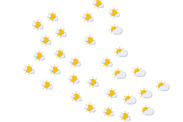 Forecast