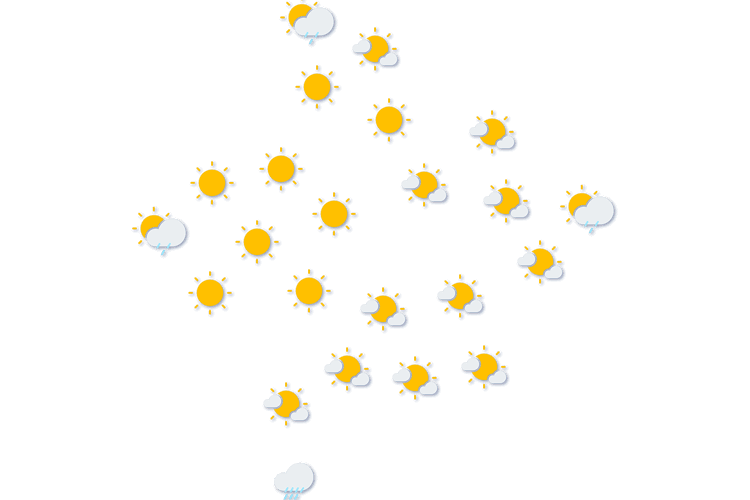 Forecast
