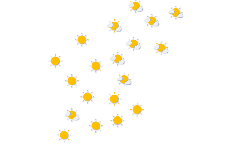 Forecast