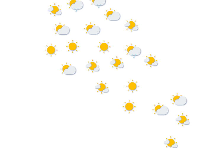 Forecast