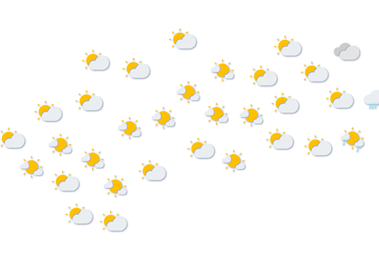 Forecast