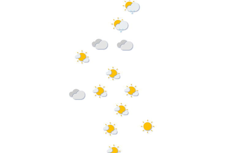 Forecast