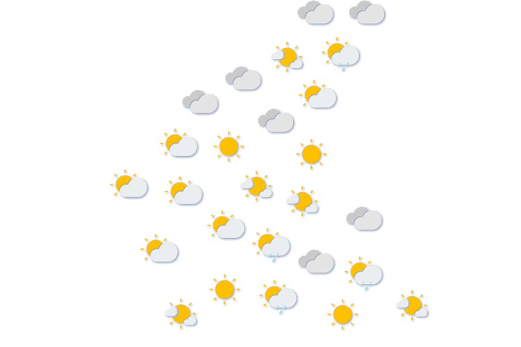 Forecast