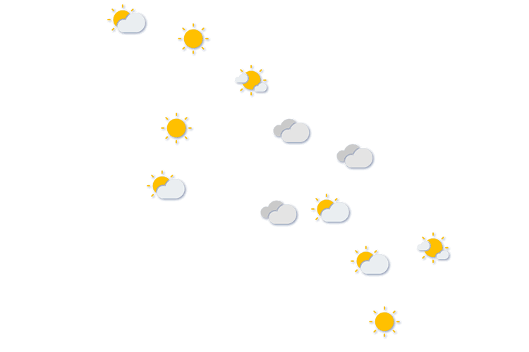 Forecast