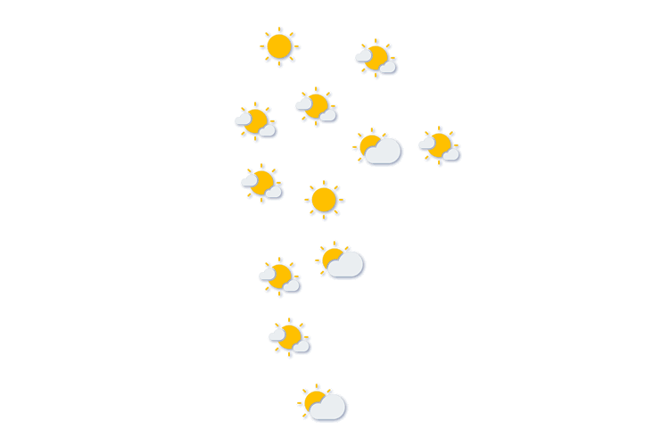 Forecast