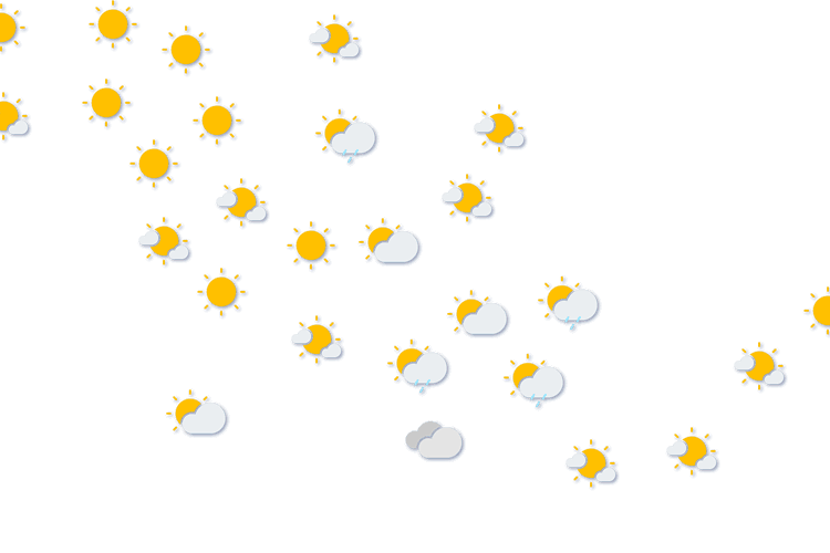 Forecast