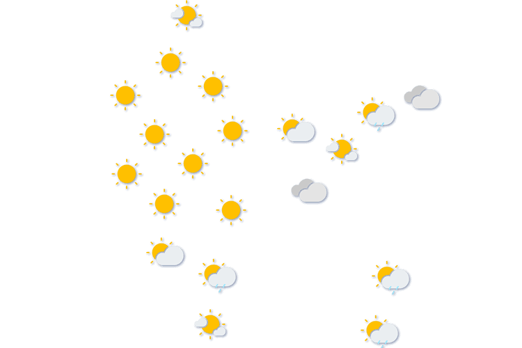 Forecast