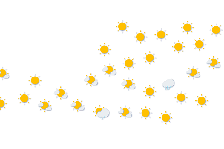 Forecast