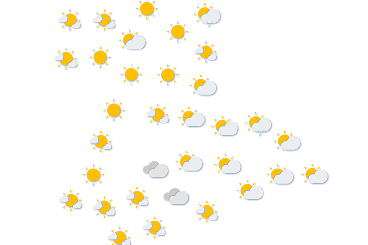Forecast