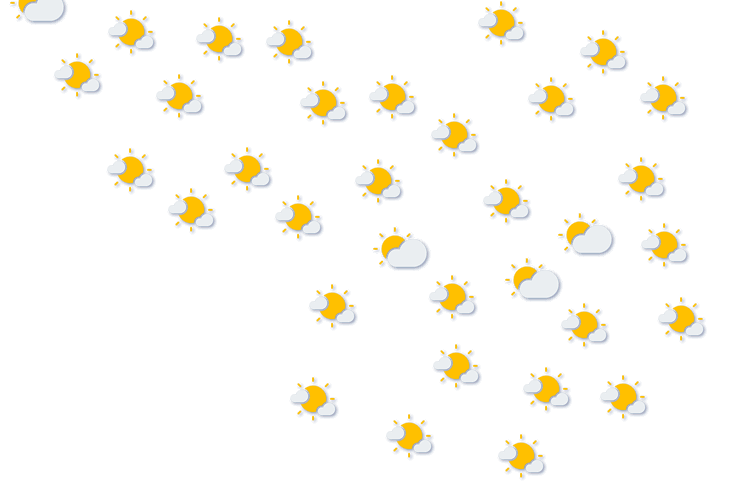 Forecast
