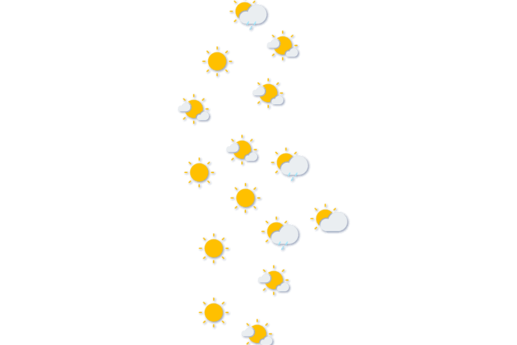 Forecast