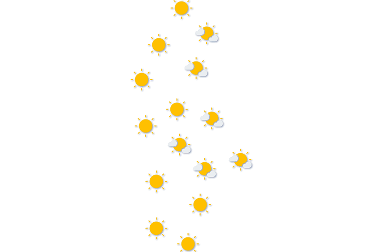 Forecast
