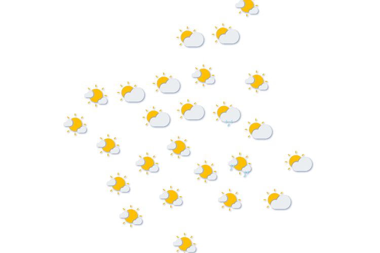Forecast