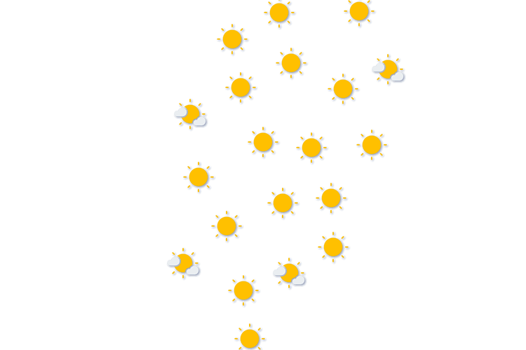 Forecast