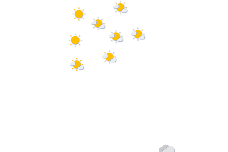 Forecast