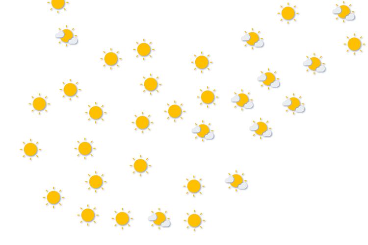 Forecast