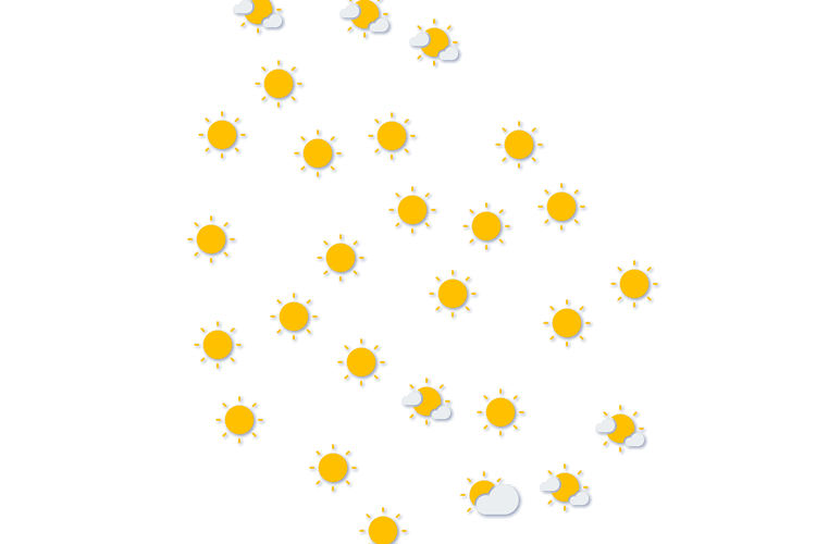Forecast