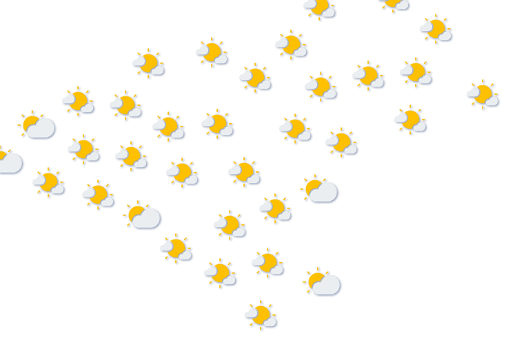 Forecast
