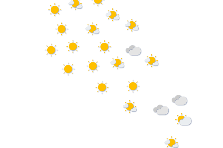 Forecast