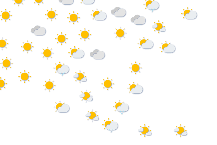 Forecast