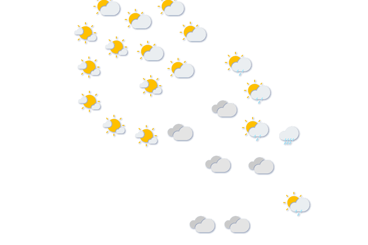 Forecast