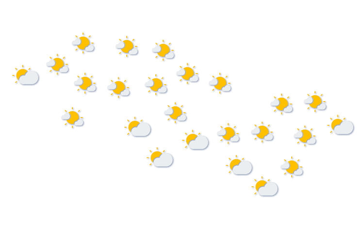 Forecast