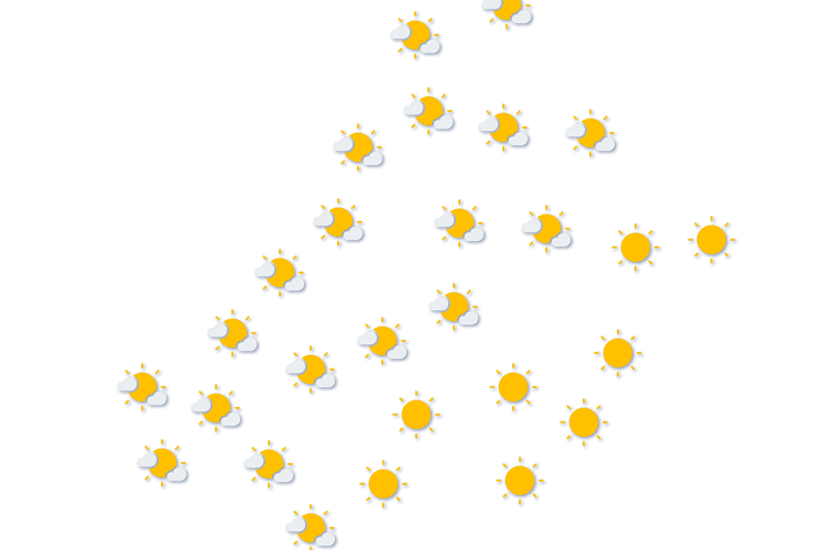 Forecast